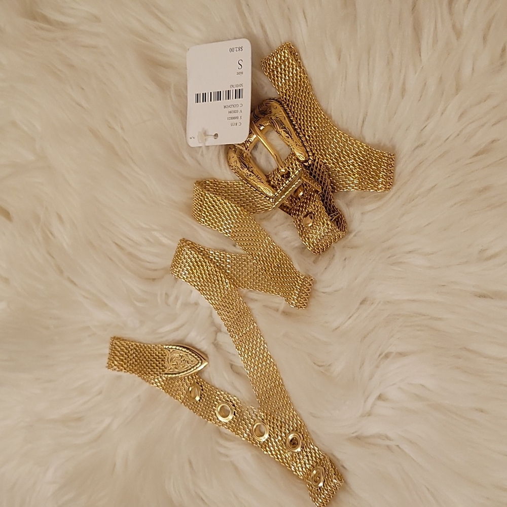 Free People Gold Mesh Belt Sz S